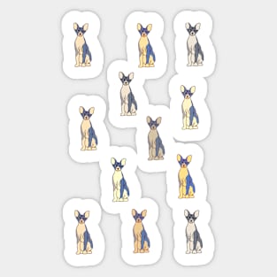 Cat lover Sticker